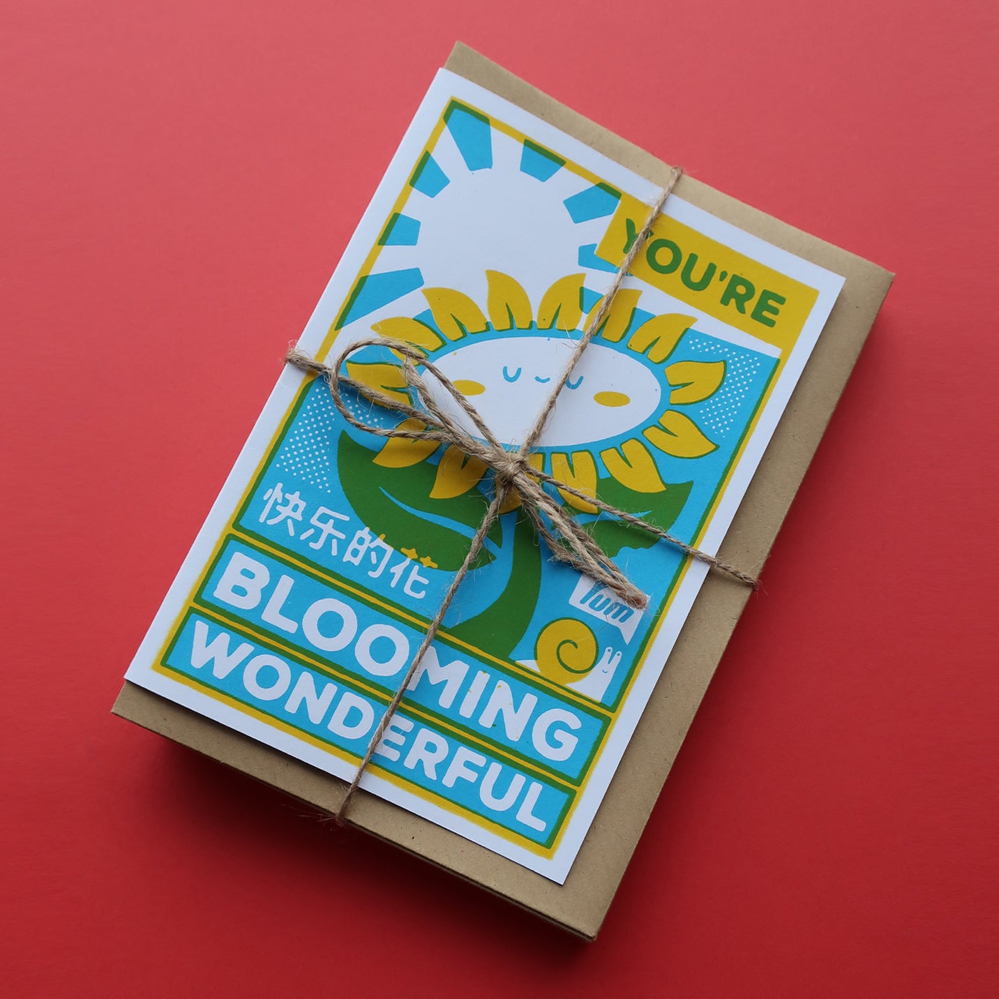 Multipack of TEN Greeting Cards